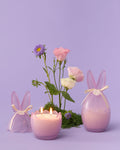 Spiced Carrot Cake Soy Blend Scented Candle 260g