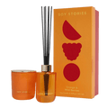 Orange & Wild Berries Gift Set