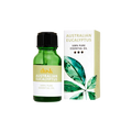 Australian Eucalyptus Pure Essential Oil 15 mL