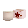 Vanilla & Spice 3 Wick Soy Scented Candle