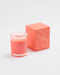 Jaipur 1 Wick Signature 60hr
